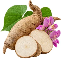 Bustfull — Pueraria mirifica root extract