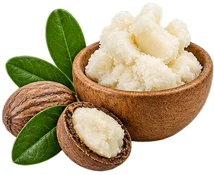 Bustfull — shea butter ingredient